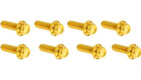 300-937 Arlen Ness 12 Point Lifter Block Bolt Kits #300-937