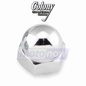 H4v6 Colony Mn/h4v6 Stem Nut For 1955-1972 Harley Davidson Flhf - Control Steering Gx