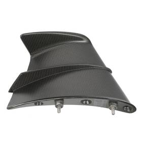 4801a972aa Ducati Genuine 2020 Panigale V4 Right Wing 1714 Carbon