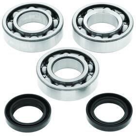 414074 Quadboss 94-95 Polaris 300 2x4/4x4 Crankshaft Bearing And Seal Kit