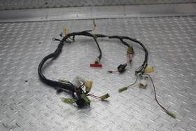 2205653 Yamaha 1979 Dt125 Enduro Wiring Harness And Horn
