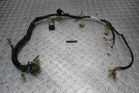 7813852 Yamaha 1980 Dt100g Wiring Harnes
