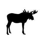 Moose Sticker Decal Die Cut. Fixed Price $33.97.