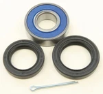 Balls Low Steering Bearings 25-1460. Fixed Price $19.80.