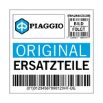 Door Piaggio, Right, B002847 For Ape 420 MP601 Classic Pickup EURO4. Fixed Price $621.29.