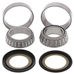 Balls Steering Bearing Kit 22-1070. Fixed Price $36.58.