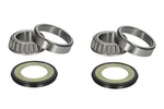 For Pivot Works PWSSK-E01-000 Frame Head Bearings Set Fits Bmw;. Fixed Price $137.70.