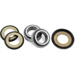Balls Steering Bearing And Seal Kit 22-1048. Fixed Price $68.48.