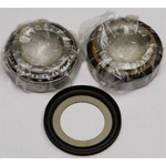 Balls Steering Bearing/seal Kit 22-1055. Fixed Price $71.75.