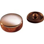 Colony Chrome Stem Bolt Cover And Rubber Plug 8810-2. Fixed Price $18.00.