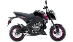 Dcor Z-125 Pro Graphic Pink Flame Motorcycle Street Bike 20-20-315 4302-6185. Fixed Price $52.96.
