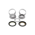 Balls Steering Bearing Kit 22-1066. Fixed Price $73.15.
