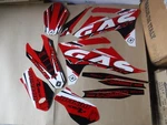 Flu PTS6 Pro Team Graphics Gasgas Mc Ec Ex 125 250 300 350 450 2021 2022 2023. Fixed Price $49.99.