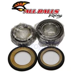 Balls Steering Stem Bearing Kit For 2000-2011 Yamaha TTR125L Control Vt. Fixed Price $51.41.