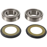 New Pivot Works Steering Stem Bearing Kit PWSSK-E01-000 For Bmw 650 99-12. Fixed Price $69.17.