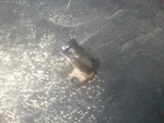 85-17 Kawasaki Coolant Fitting Assembly # 92005-1122 Mojave KSF250. Fixed Price $9.95.