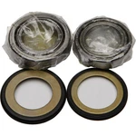 Balls Steering Bearing/seal Kit 22-1014. Fixed Price $53.88.