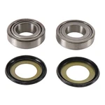 New Balls Steering Bearing Kit 22-1078 For Yamaha Ag 125 2017. Fixed Price $55.81.