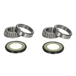 Pivot Works Steering Head Bearing PWSSK-E01-000 New De Stock. Fixed Price $210.55.