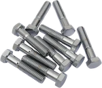 Drag Specialties DS190623 Chrome Hex-head Bolts 3/8-16 1-3/4 Inch. Fixed Price $17.80.