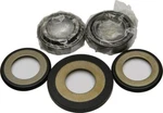 Balls Steering Bearing & Seal Kit 22-1058. Fixed Price $66.50.