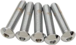Drag Specialties DS192326 Replacement Button Head Bolts Pack 5/16-18 X Inch. Fixed Price $30.19.
