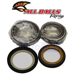 Balls Steering Stem Bearing Kit For 1988-1990 Yamaha DT50 Control Nl. Fixed Price $58.06.