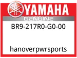 Yamaha Oem Part BR9-217R0-G0-00 Side Cover Insert. Fixed Price $112.99.