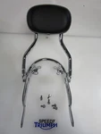 Triumph Bonneville T120 T100 Sissy Bar And Mounting Kit A9759192 A9759193. Fixed Price $510.38.