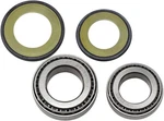 Balls Steering Bearing Kit Honda VF1100C V65 Magna (1983-1986). Fixed Price $46.94.