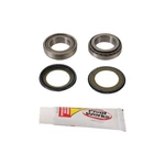 New Pivot Works Steering Stem Bearing Kit PWSSK-H05-420 For Honda Crf 450. Fixed Price $69.17.