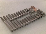 Triumph Bonneville T120 1968-71 TR6 Tiger Engine Stainless Steel Unc Allen Bolts. Fixed Price $29.13.