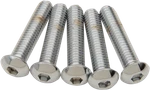 Qty New Drag Specialties DS192324 5/16X18X1-1/4 Button Head. Fixed Price $14.53.