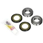 Steering Bearing & Seal Kit, Pivot Works PWSSK-E01-000, Bmw F650 Gs/gs Dakar 00-. Fixed Price $108.62.