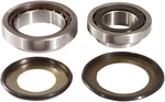 Pivot Works PWSSK-H19-000 Steering Stem Bearing Kit. Fixed Price $74.66.