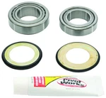 Pivot Works Steering Stem Bearing Kit PWSSK-H03-021. Fixed Price $75.99.