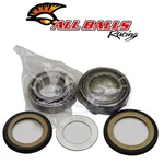 Balls Steering Stem Bearing Kit For 1977-1985 Suzuki RM80 Control Si. Fixed Price $50.43.