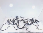 2004-2005 Honda GL1800 Goldwing Main Wire Wiring Harness Loom For Parts. Fixed Price $49.95.