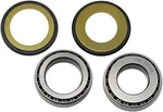 Balls Steering Stem Bearing Kit For 1983-1985 Yamaha YTM200 Tri-moto Atv. Fixed Price $53.95.