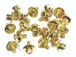 Honda Acura Body Bolts- M6-1.0 16MM Long- 10MM Hex- 19MM Washer- 20 #170. Fixed Price $20.36.