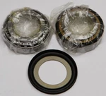 Balls 22-1055 Steering Stem Bearing Kit. Fixed Price $71.75.