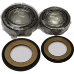 Balls Steering Bearing/seal Kit 22-1020. Fixed Price $47.85.