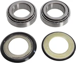Pivot Works PWSSK-H21-000 Steering Stem Bearing Kit. Fixed Price $70.09.