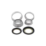 Balls Steering Bearing Kit 22-1063. Fixed Price $65.91.