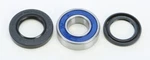 Balls 25-1459 Low Steering Bearings. Fixed Price $24.61.