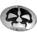 Drag Specialties 0703-0791 Chrome & Black Skull Fuel Console Door For 08-24. Fixed Price $48.36.