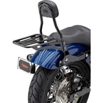 Cobra 602-2002B Detachable Sissy Bar Kits Black. Fixed Price $487.86.