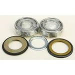 Balls Steering Bearing/seal Kit 22-1066. Fixed Price $71.37.