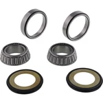 Balls Steering Stem Bearing Seal Kit For Bmw R100 91-95 Rs 76-92. Fixed Price $47.85.