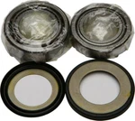 Balls Steering Bearing & Seal Kit 22-1030. Fixed Price $65.67.